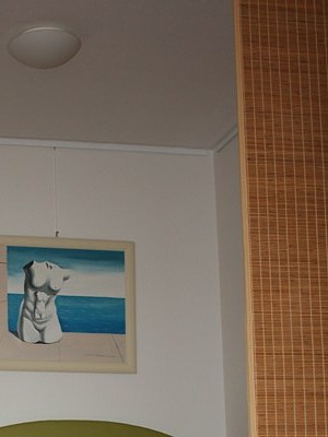 35qm  Apartment von Privat in Köln-Sülz zu vermieten