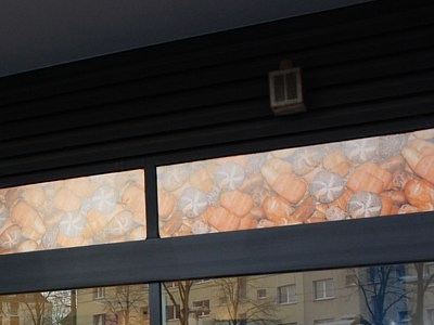 35qm  Apartment von Privat in Köln-Sülz zu vermieten